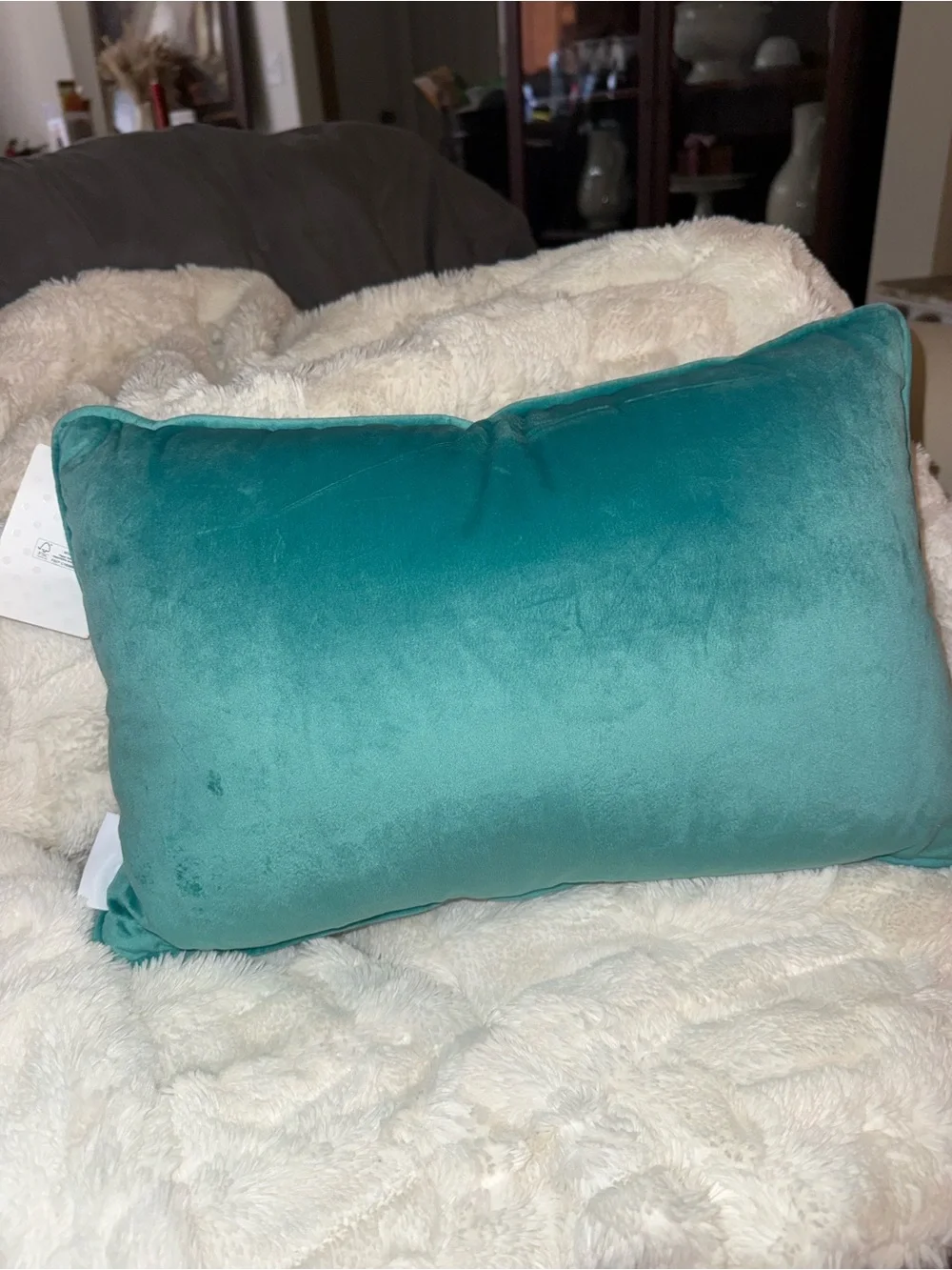 Bad Witch Energy Teal Decorative Pillow by Isaac Mizrahi